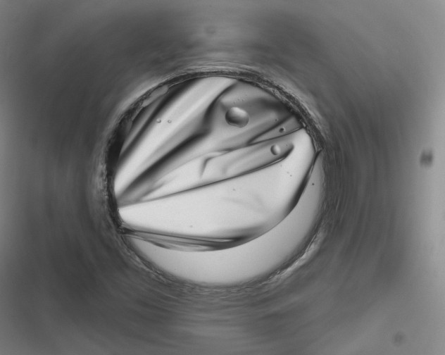 X0000116811453201001081345