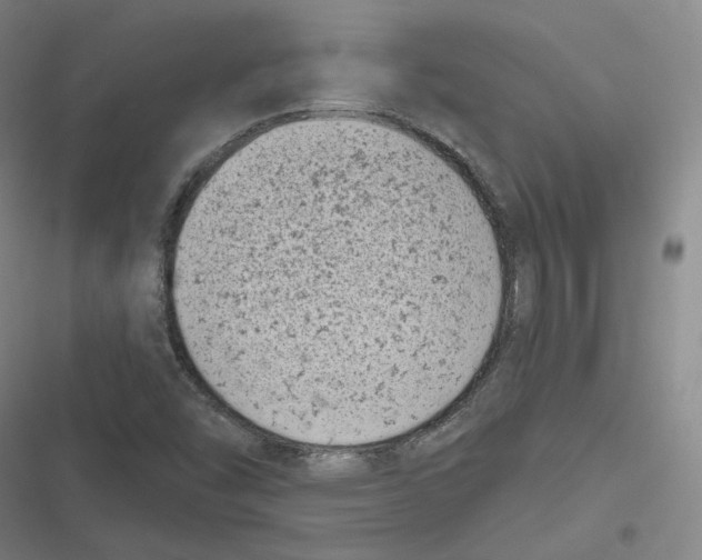 X0000116811454201001081345