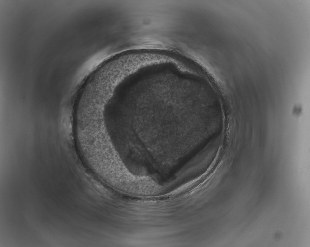 X0000116811455201001081345