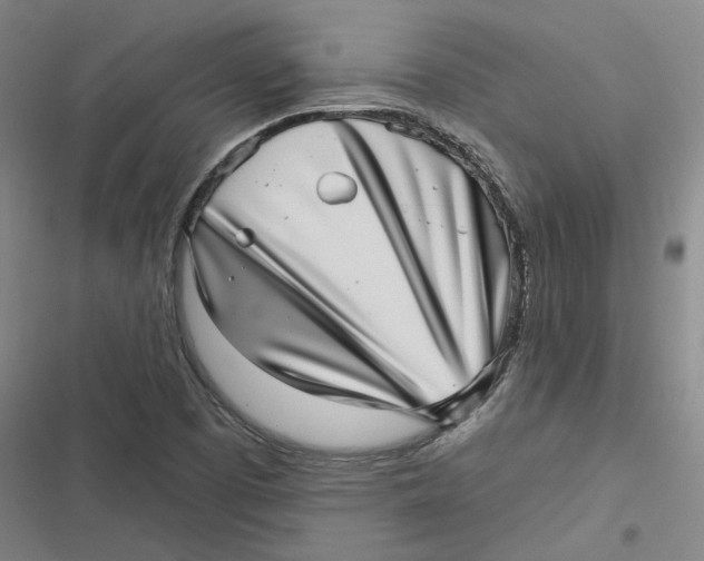 X0000116811457201001081345