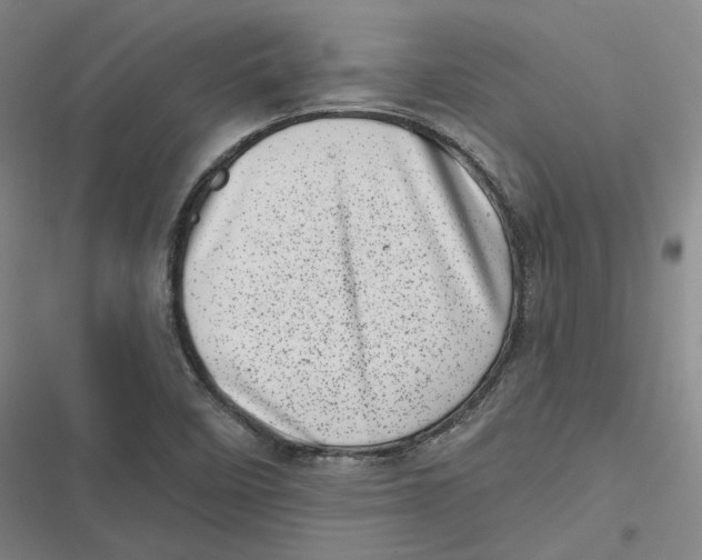 X0000116811458201001081345