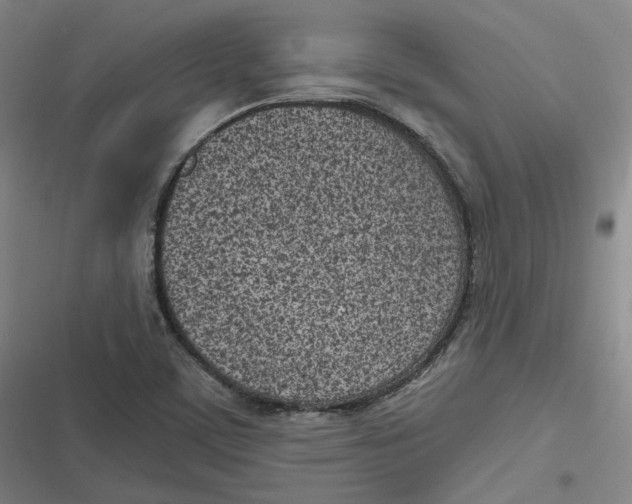 X0000116811459201001081345