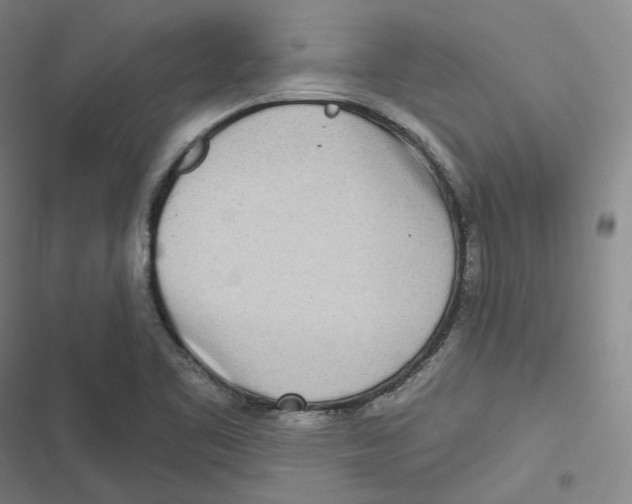 X0000116811461201001081345