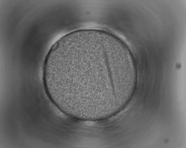 X0000116811463201001081345