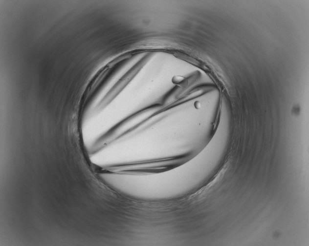 X0000116811465201001081345