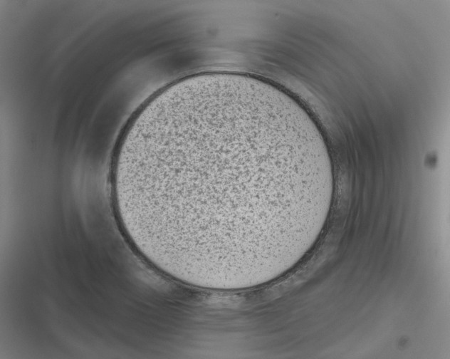 X0000116811466201001081345