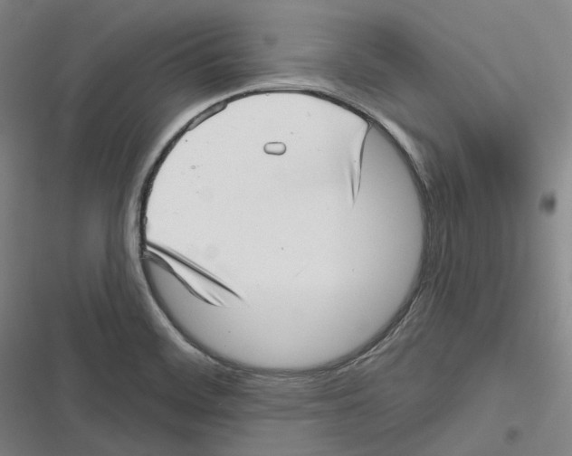 X0000116811468201001081345