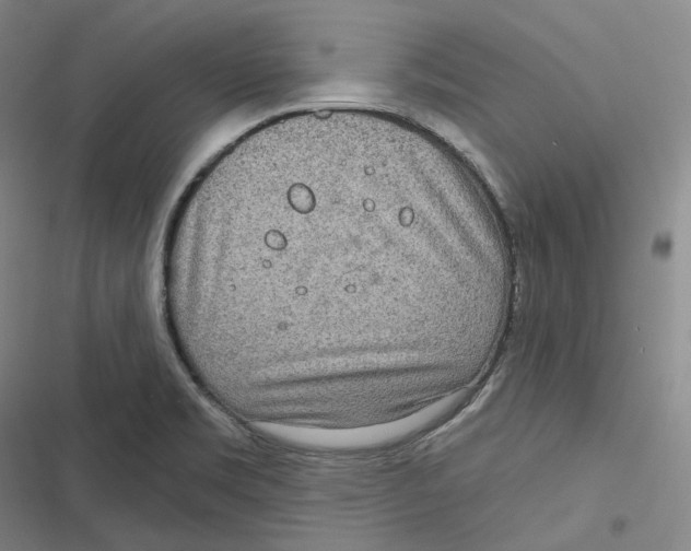 X0000116811469201001081345