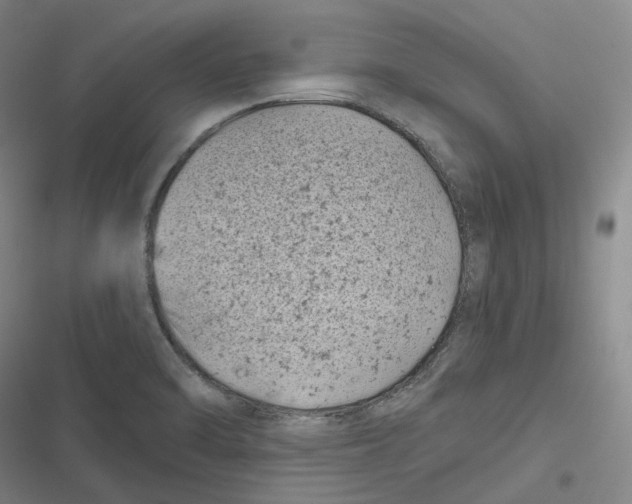 X0000116811470201001081345