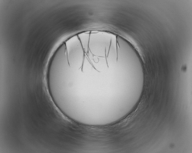 X0000116811472201001081345