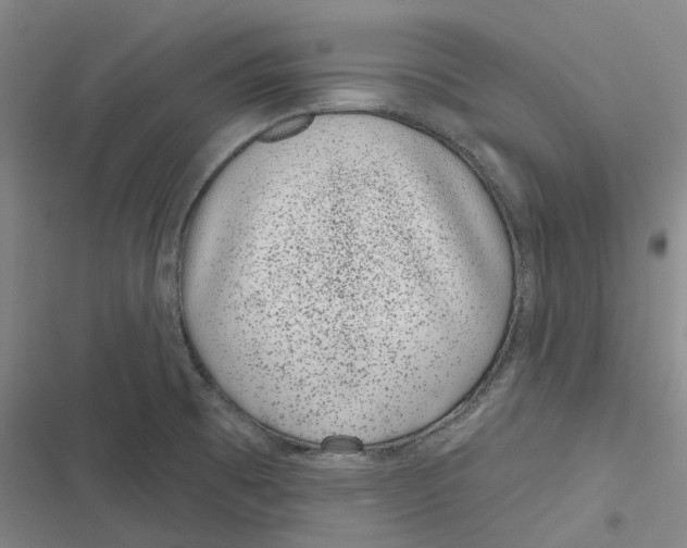 X0000116811473201001081345