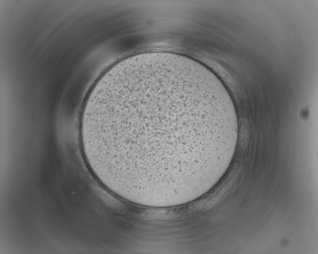 X0000116811474201001081345