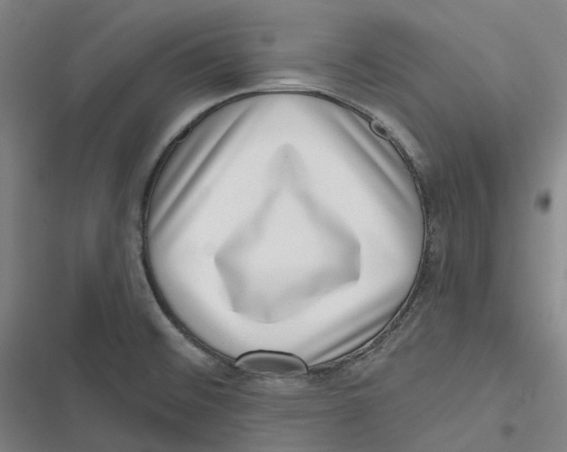 X0000116811476201001081345