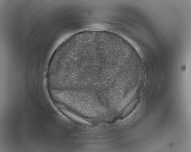 X0000116811477201001081345