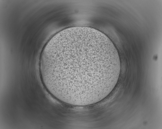 X0000116811478201001081345