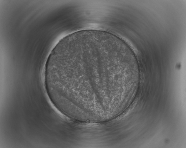 X0000116811479201001081345