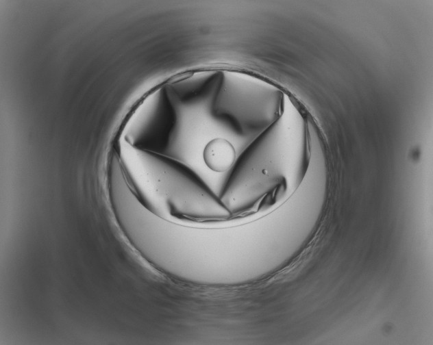 X0000116811480201001081345