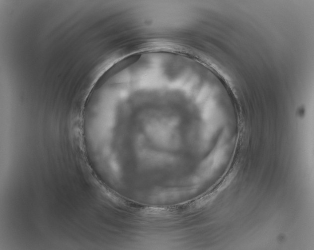 X0000116811481201001081345