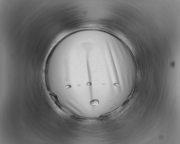 X0000116811482201001081345