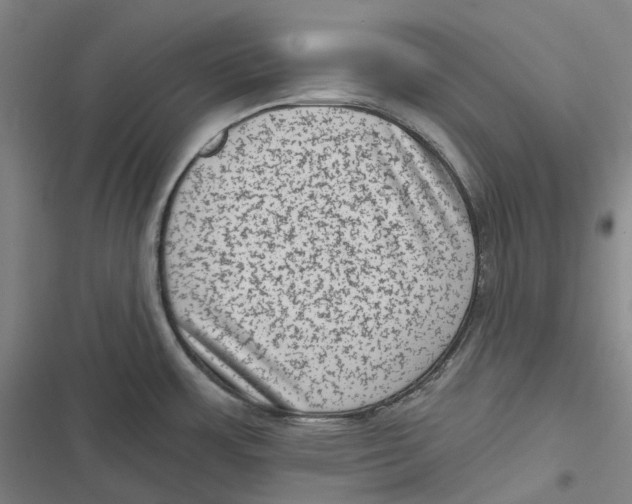 X0000116811483201001081345