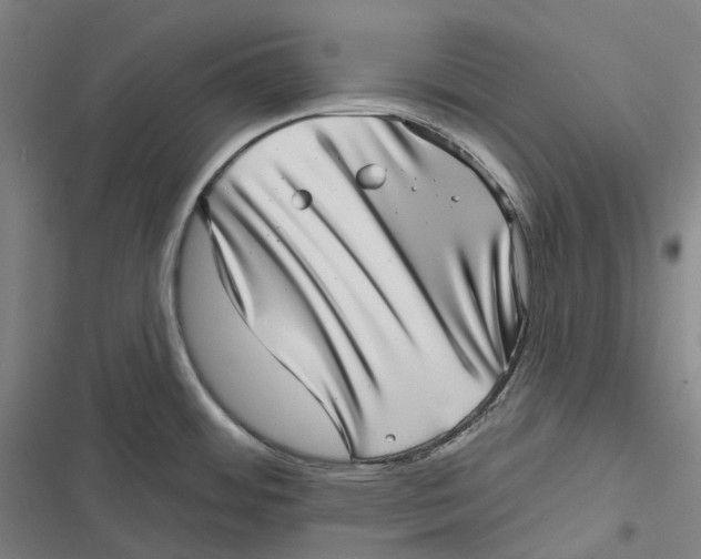 X0000116811484201001081345