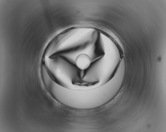 X0000116811485201001081345