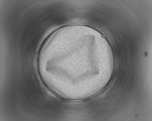 X0000116811486201001081345