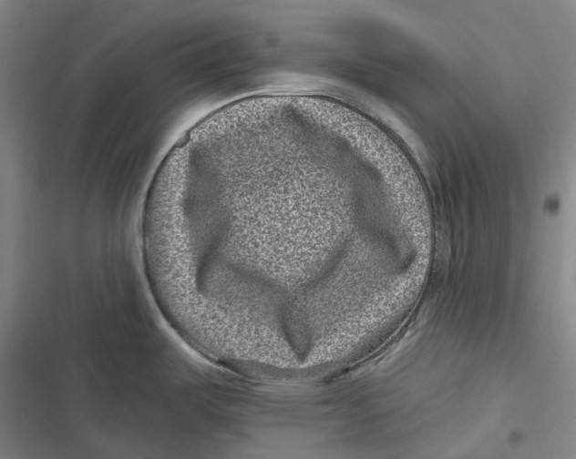 X0000116811487201001081345