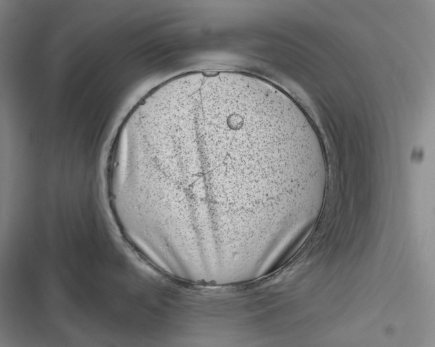 X0000116811488201001081345