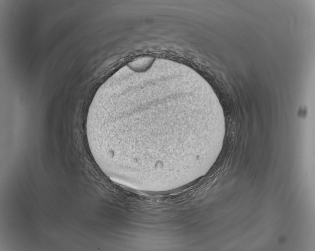 X0000116811489201001081344