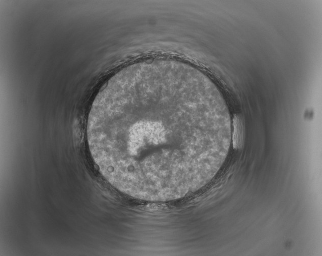 X0000116811491201001081344