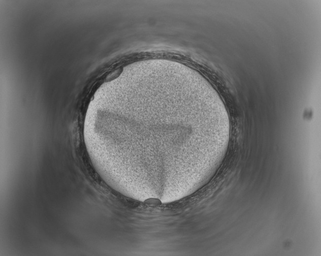 X0000116811493201001081344