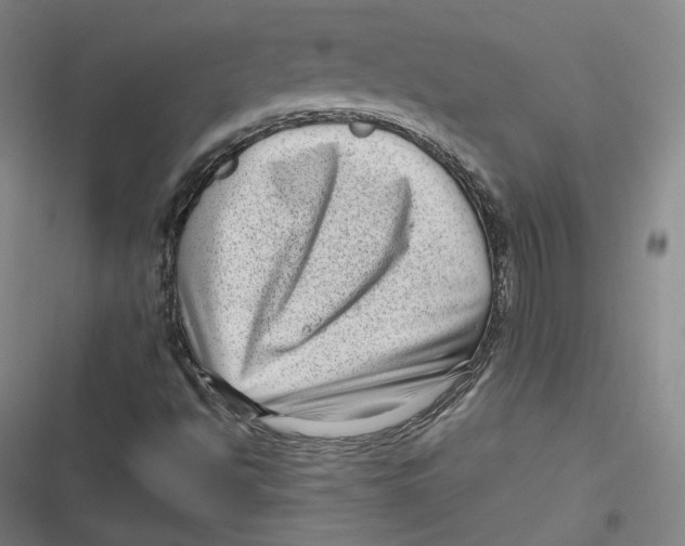 X0000116811494201001081344