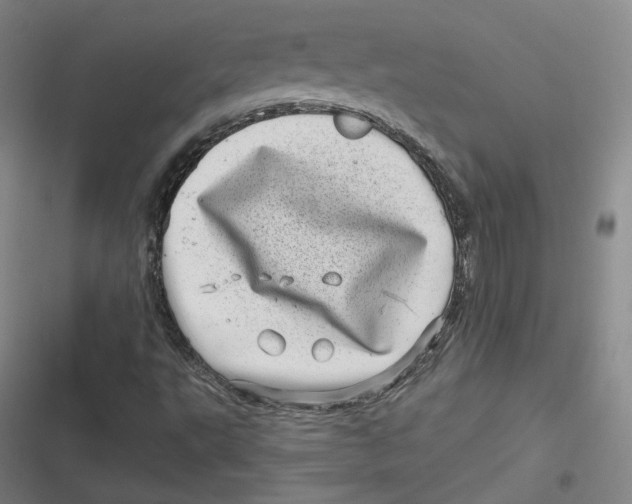 X0000116811495201001081344