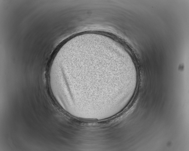 X0000116811497201001081344