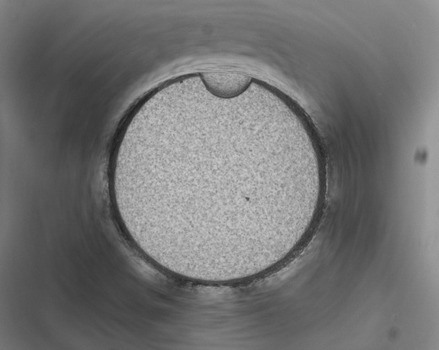 X0000116811498201001081344