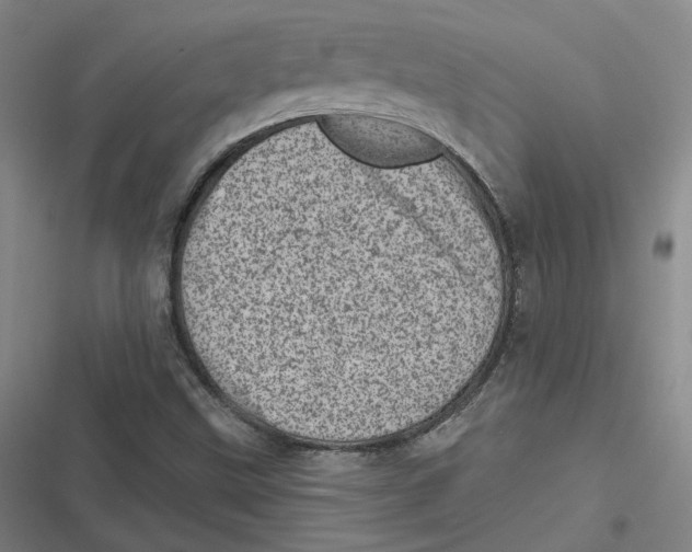 X0000116811499201001081344