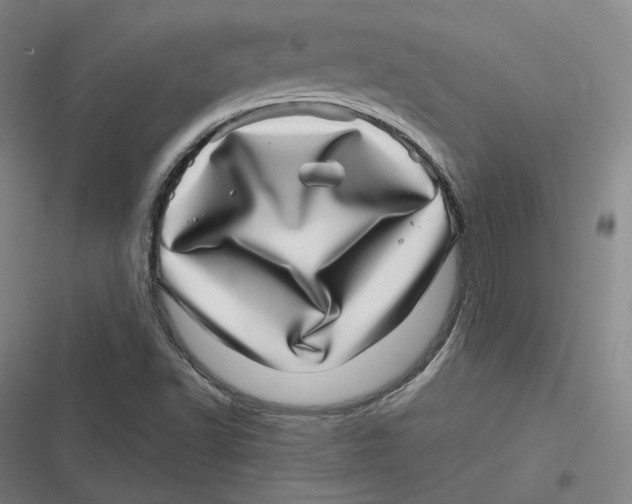 X0000116811502201001081344