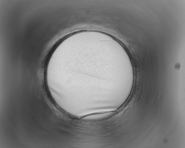 X0000116811503201001081344