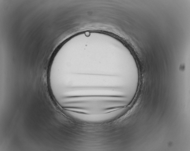 X0000116811505201001081344