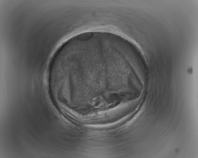 X0000116811506201001081344