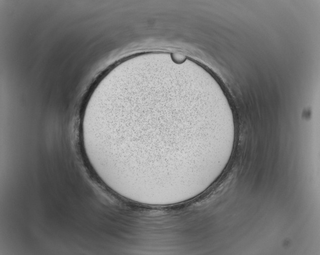 X0000116811507201001081344