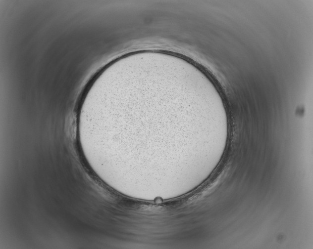 X0000116811509201001081344