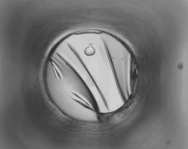 X0000116811510201001081344