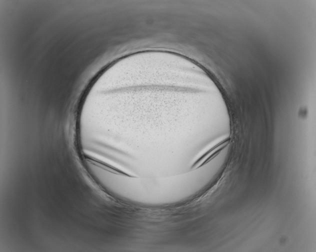 X0000116811511201001081344