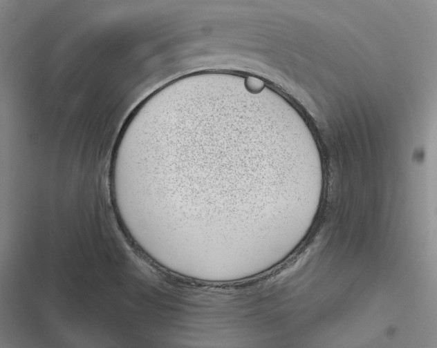 X0000116811513201001081344