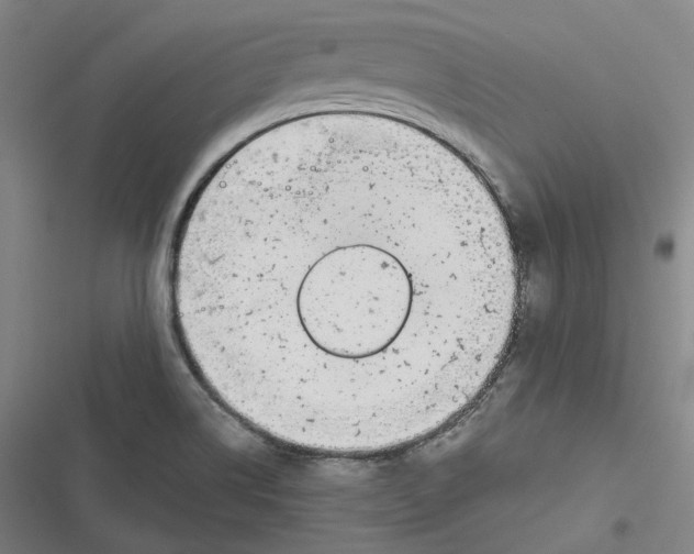 X0000116811514201001081344