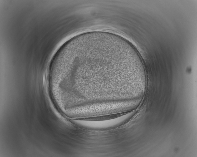 X0000116811515201001081344