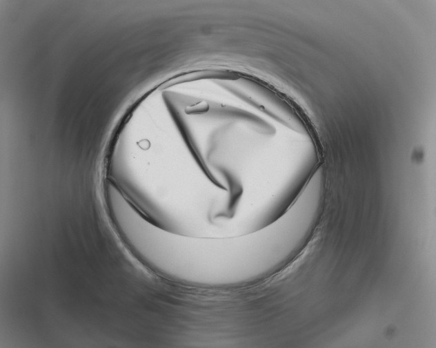 X0000116811517201001081344