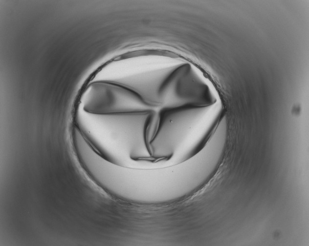 X0000116811518201001081344